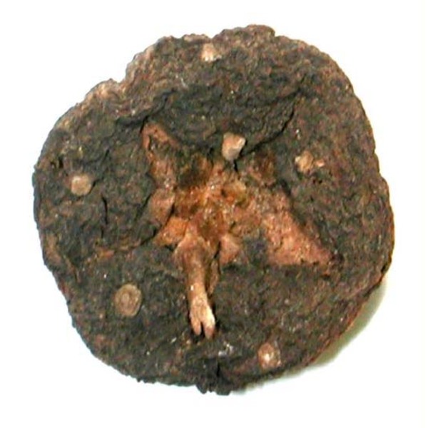 Mescaline Powder 1 unit