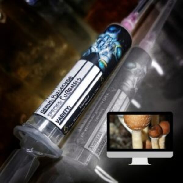 Costa Rican Spore Syringe 1 syringe